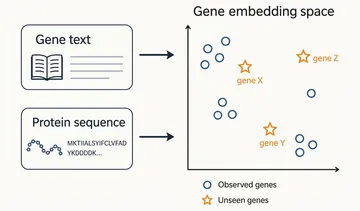 Enhancing Generative Perturbation Models with LLM-Informed Gene Embeddings